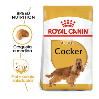 Royal Canin Adult Cocker pienso para perros